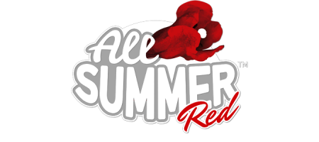 All Summer Red