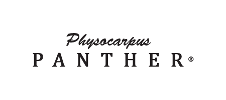 Physocarpus Panther